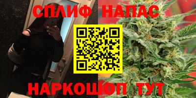 a pvp Будённовск