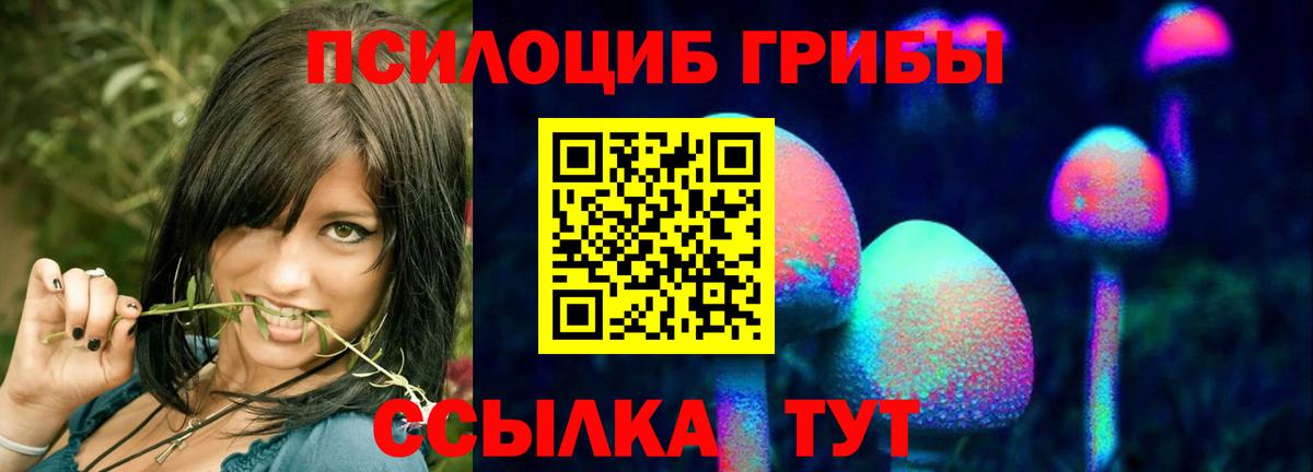 Псилоцибиновые грибы ЛСД  Галлюциногенные грибы Cubensis  Вход с VPN  закладки  Сургут 